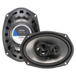 AXTON AE369 6 x 9" 3-Wege Coax System