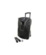 Qtx BUSKER-12 Busker PA Με Μικρόφωνο VHF, Media Player & Bluetooth 12" 80W RMS (Σετ)