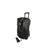 Qtx BUSKER-15 Busker PA Με Μικρόφωνο VHF, Media Player & Bluetooth 15" 100W RMS (Σετ)