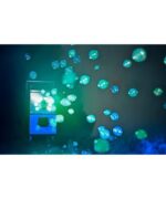 Qtx QTFX-LBF2 LED Μηχανή φυσαλίδων με καπνό - Image 2