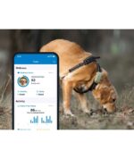 Tractive DOG XL GPS Pet Tracker Σκύλου Green (Τεμάχιο) - Image 3