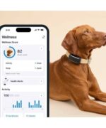 Tractive TRDOG6BK GPS Pet Tracker Σκύλου Black (Τεμάχιο) - Image 4