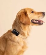 Tractive TRDOG6BK GPS Pet Tracker Σκύλου Black (Τεμάχιο) - Image 2