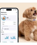 Tractive TRDOG6BR GPS Pet Tracker Σκύλου Brown (Τεμάχιο) - Image 3
