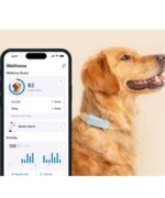 Tractive TRDOG6MT GPS Pet Tracker Σκύλου Mint (Τεμάχιο) - Image 3
